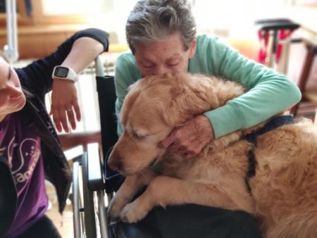 ¿Las mascotas como solución médica y poder beneficiarnos de ellas?