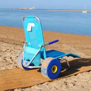 Silla Tumbona Anfibia Oceanic Sun Beach