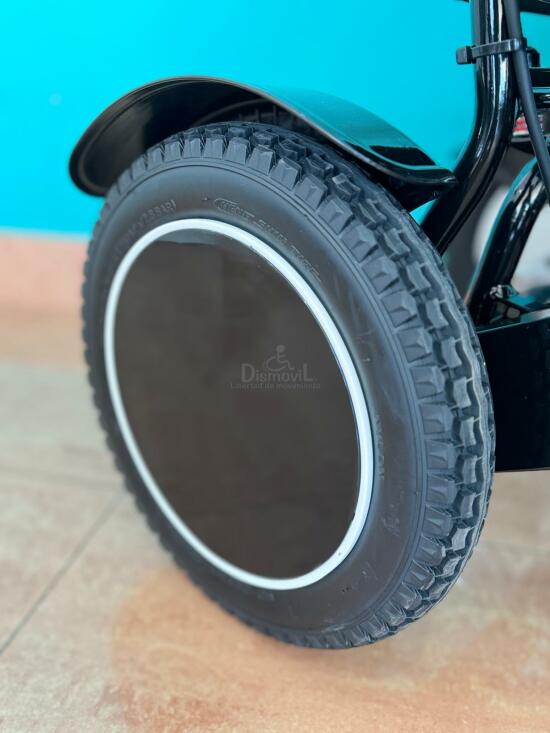 Ruedas delanteras Spa Pro 250w.jpg