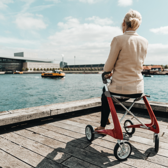 Carbon_Ultralight_Rollator_docs.png