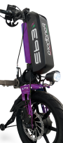Purpura